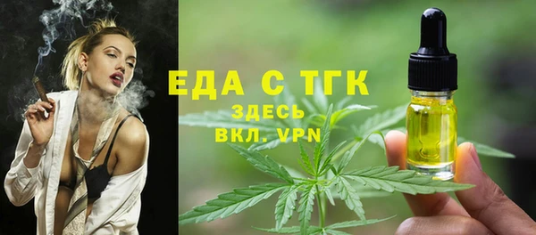 индика Богородицк