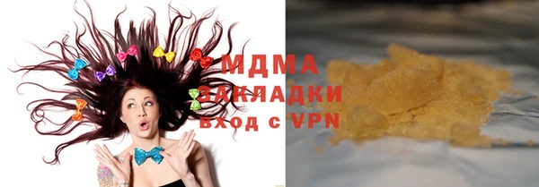 индика Богородицк