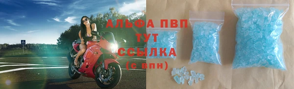 индика Богородицк