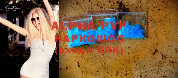 индика Богородицк