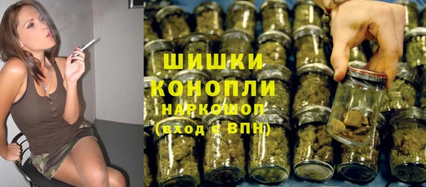 PSILOCYBIN Богородск