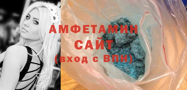 индика Богородицк