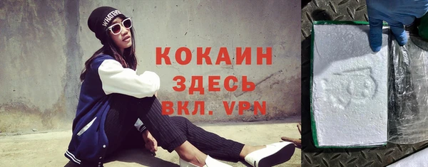 индика Богородицк