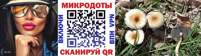Галлюциногенные грибы Magic Shrooms  Борзя 